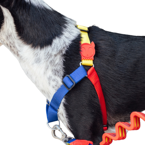 Puzzle Soft-Walk Harness