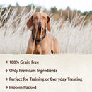 CORE Pure Rewards Turkey Jerky Dog Soft Treats