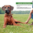 CORE Pure Rewards Turkey Jerky Dog Soft Treats