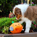 Halloween Burrow - Pumpkin with Bats Dog Toy