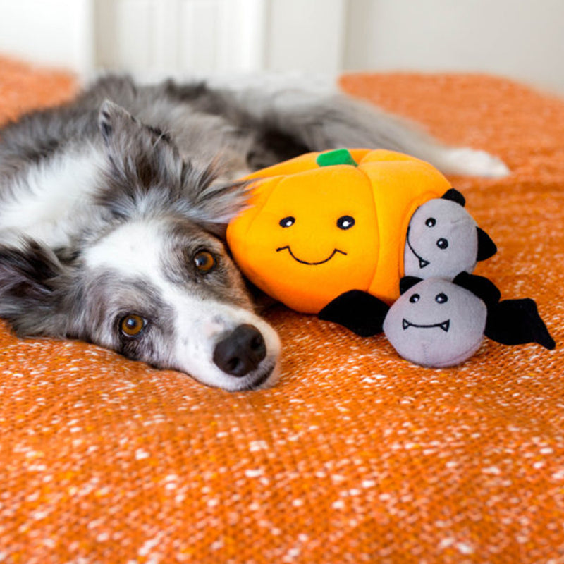 Halloween Burrow - Pumpkin with Bats Dog Toy