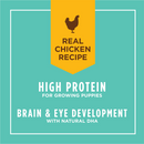 Original Grain-Free Real Chicken Recipe for Puppy Canned Dog Food