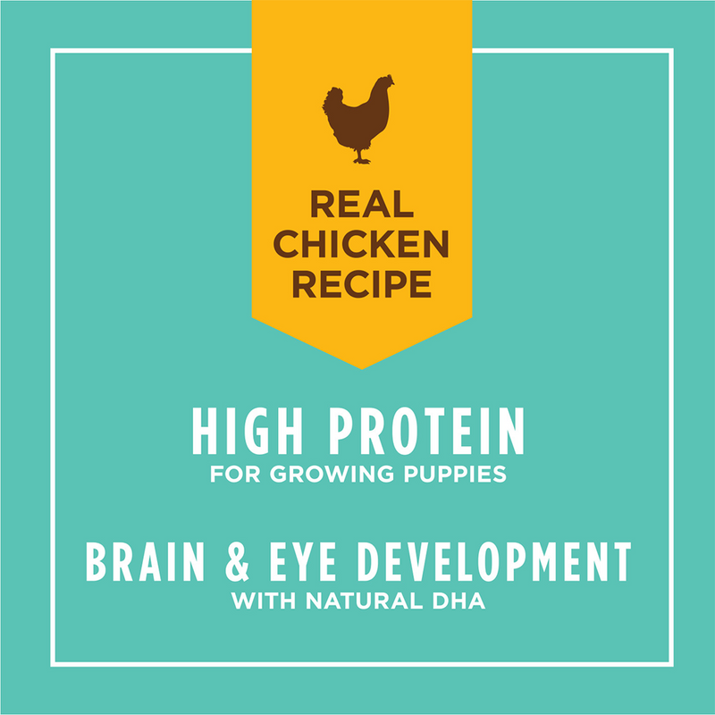 Original Grain-Free Real Chicken Recipe for Puppy Canned Dog Food