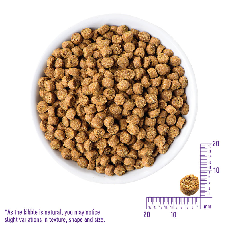 CORE Puppy Formula Grain-Free Dry Dog Food