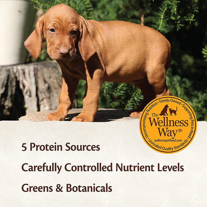 CORE Puppy Formula Grain-Free Canned Dog Food