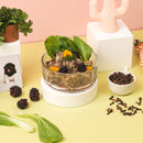 Pork Berries & Parsley Raw Dog Food - Puppy