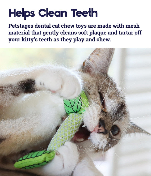 Fresh Breath Mint Stick Dental Cat Toy