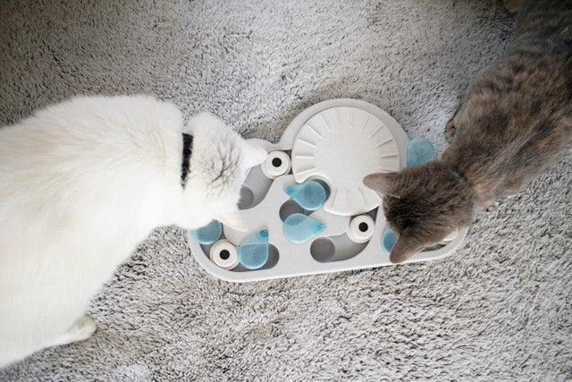 Petstages Nina Ottosson Rainy Day Puzzle & Play - Interactive Cat Treat  Puzzle & Catit Senses 2.0 Digger Interactive Cat Toy