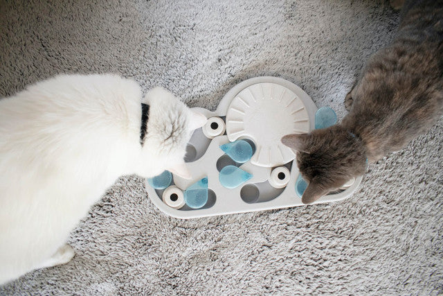 Petstages Rainy Day Puzzle & Play Cat Toy