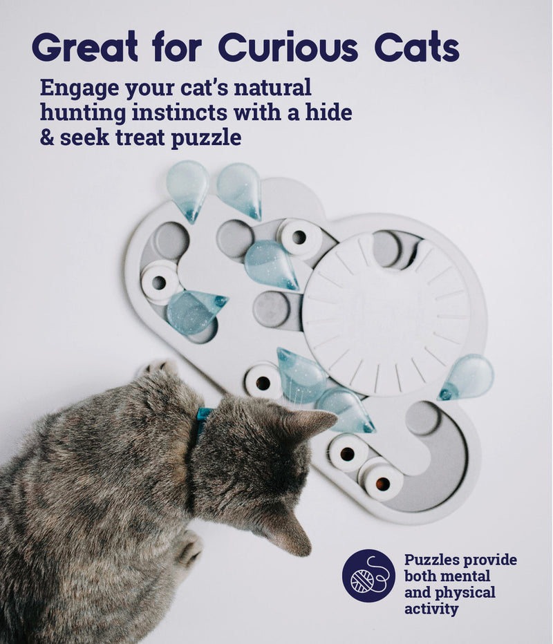 Petstages Rainy Day Puzzle & Play Cat Treat Puzzle