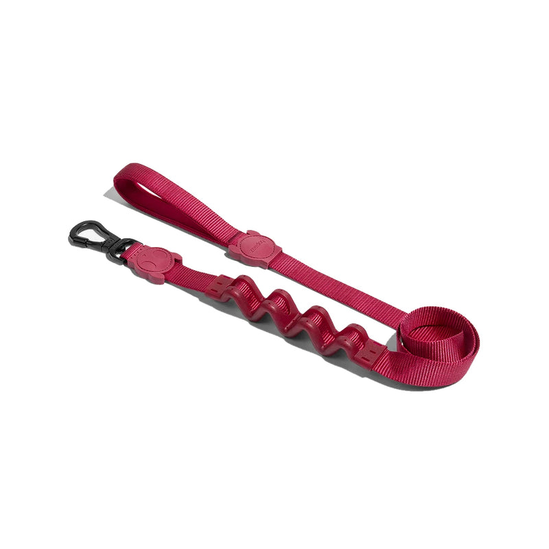 Bordeau Ruff Leash