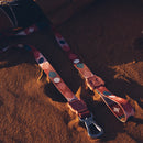 Marrakesh Same Leash