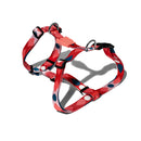 Marrakesh Same H-Harness