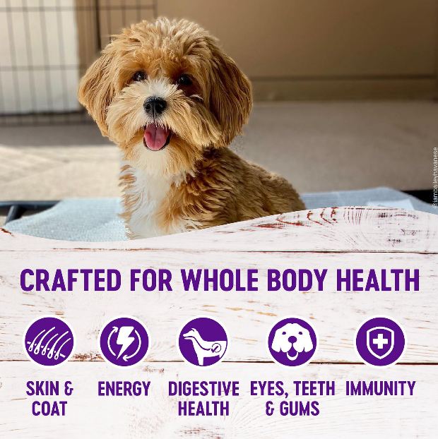 Complete Health Small Breed Puppy Dog Food
