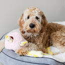 Zippy Burrow - Seahorse 'n Coral Dog Toy