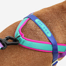 Shockwave Softer Walk Harness