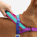 Shockwave Softer Walk Harness