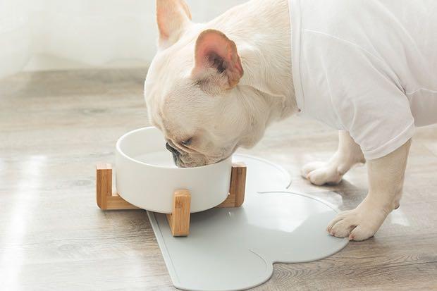 Pet Dog Puppy Cat Feeding Mat Pad Cute Cloud Shape Silicone Dish Bowl Food  Feed