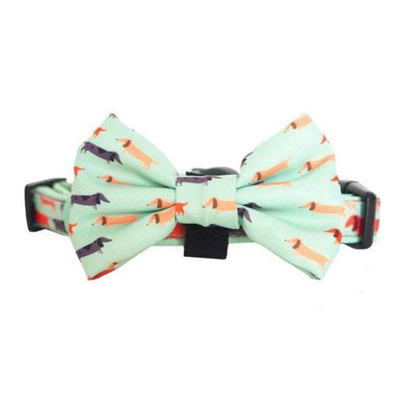 Bow Tie Collar - Snag Pack Dog Collar