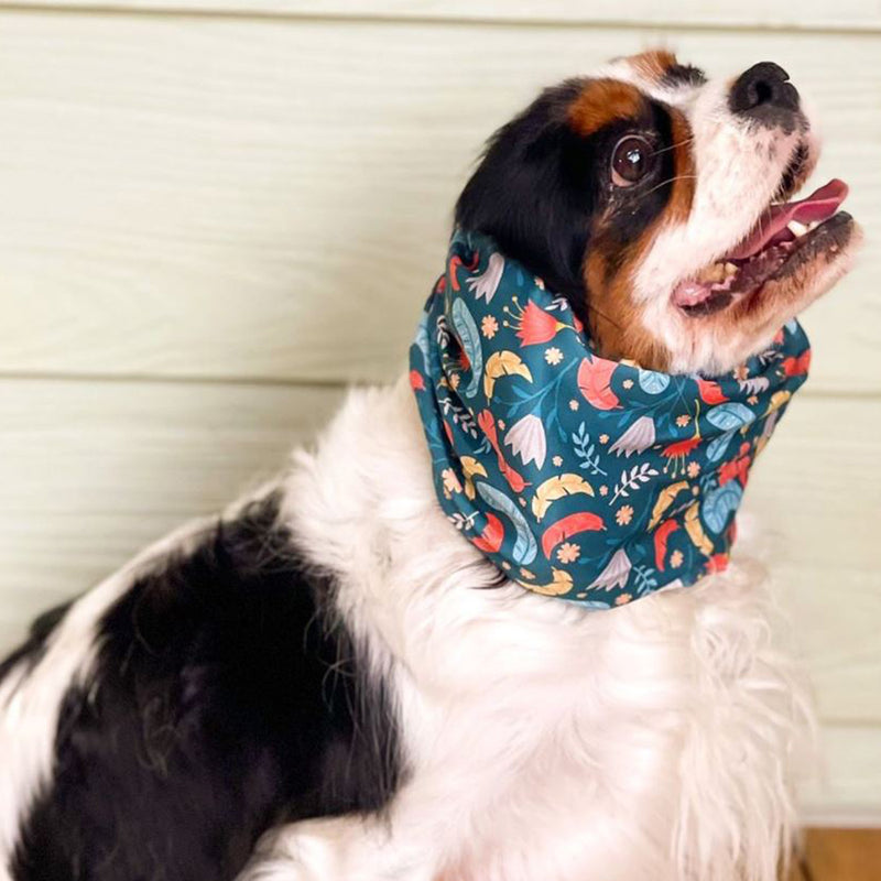 Snoods Type B For Dogs