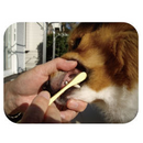Care Large Head Soft Toothbrush for Dogs