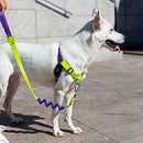 Lemonade Soft-Walk Harness