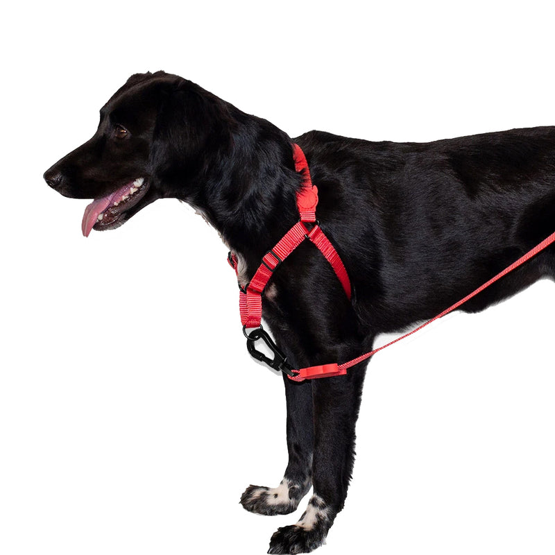 Neon Coral Soft-Walk Harness