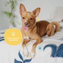 Coat Spray Almond+Vanilla For Dog Smell