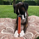 Stix Dental Dog Chew Treats Value Bag