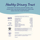 Healthy Immunity Antioxidant Supplement For Dogs & Cats