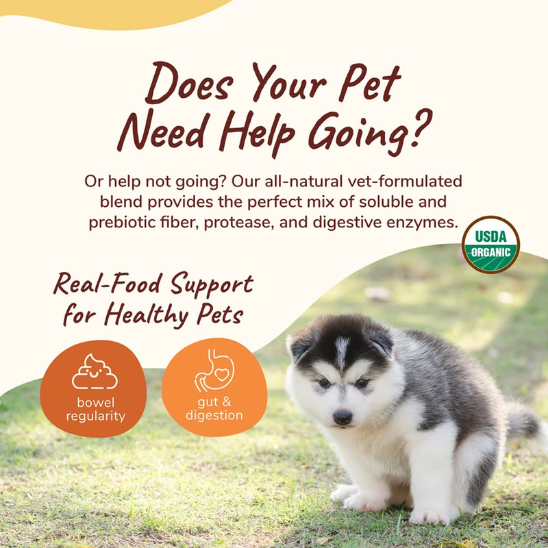 Healthy Poops Digestion Supplement For Dogs & Cats