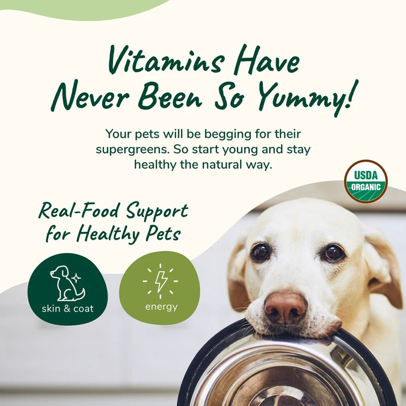 Healthy Skin And Coat Multivitamin For Dogs & Cats