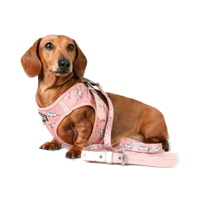 Vegan Leather Dog Leash - The Twiggy (Blush)