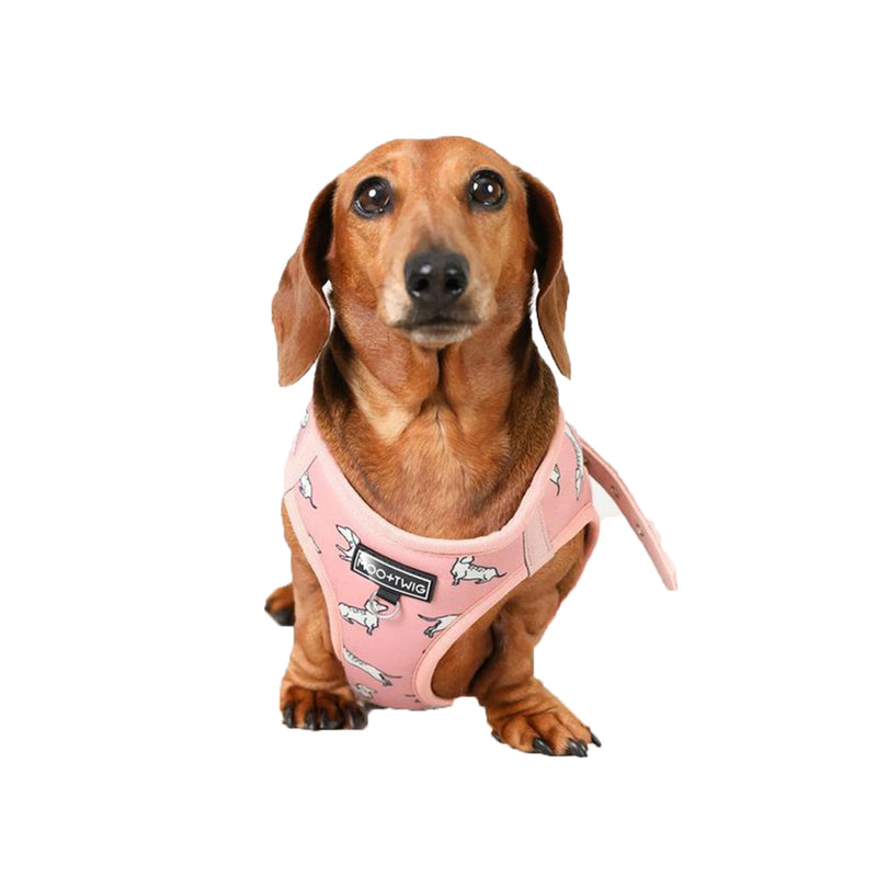 Vegan Leather Step In Dog Harness - The Twiggy (Blush)