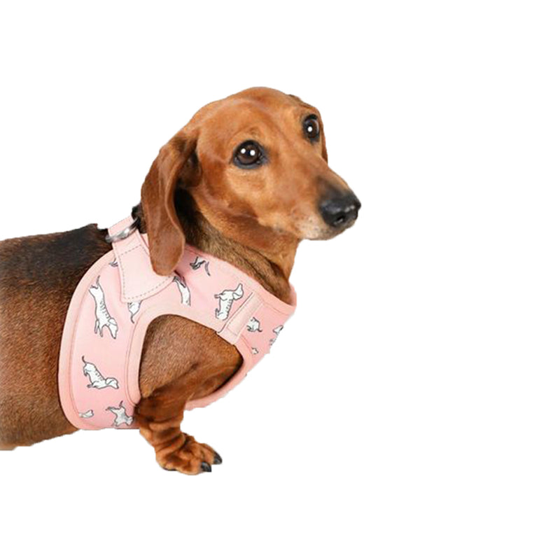 Vegan Leather Step In Dog Harness - The Twiggy (Blush)