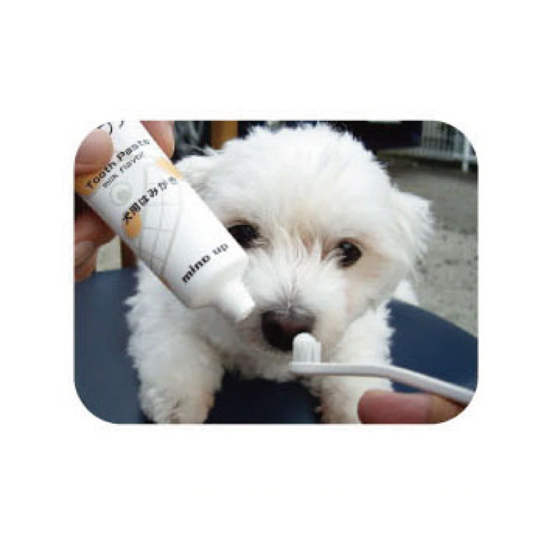 Care Tooth Paste Milk Flavor For Dogs