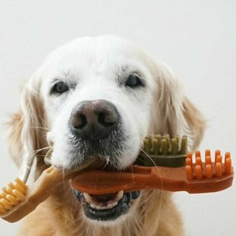 Toothbrush Dental Dog Chew Treats Value Bag