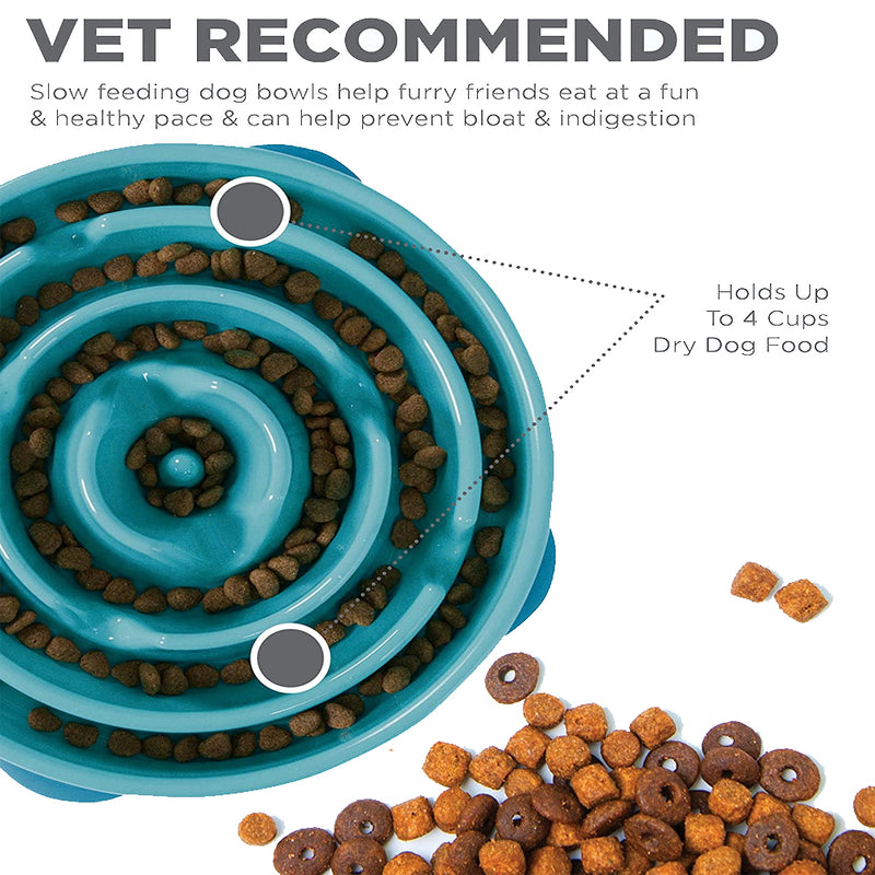 Fun Feeder Slo-Bowl Dog Bowl - Turquoise