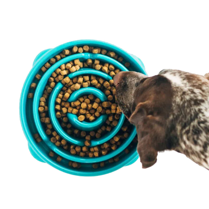 Fun Feeder Slo-Bowl Dog Bowl - Turquoise