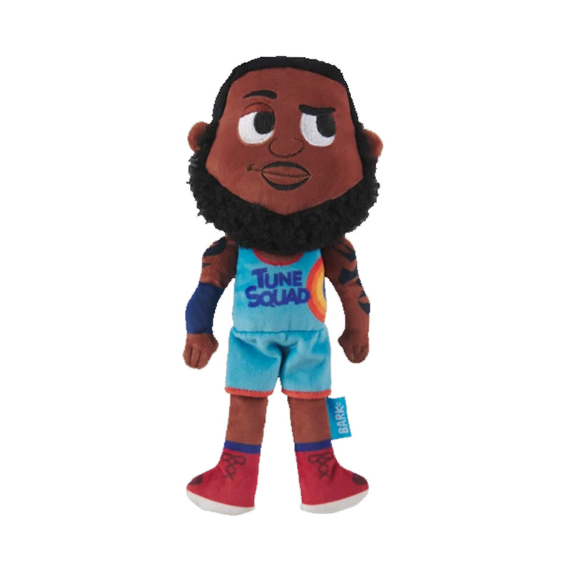 LeBron James Dog Toy