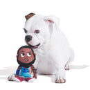 LeBron James Dog Toy