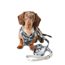 Vegan Leather Dog Leash - The Twiggy (Charcoal)