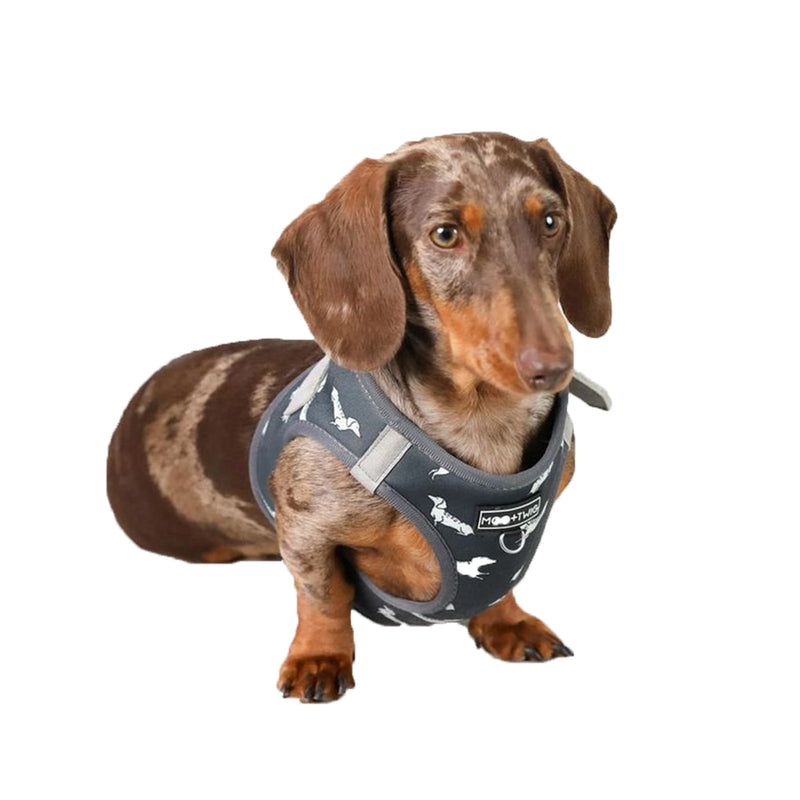 Vegan Leather Step In Dog Harness - The Twiggy (Charcoal)