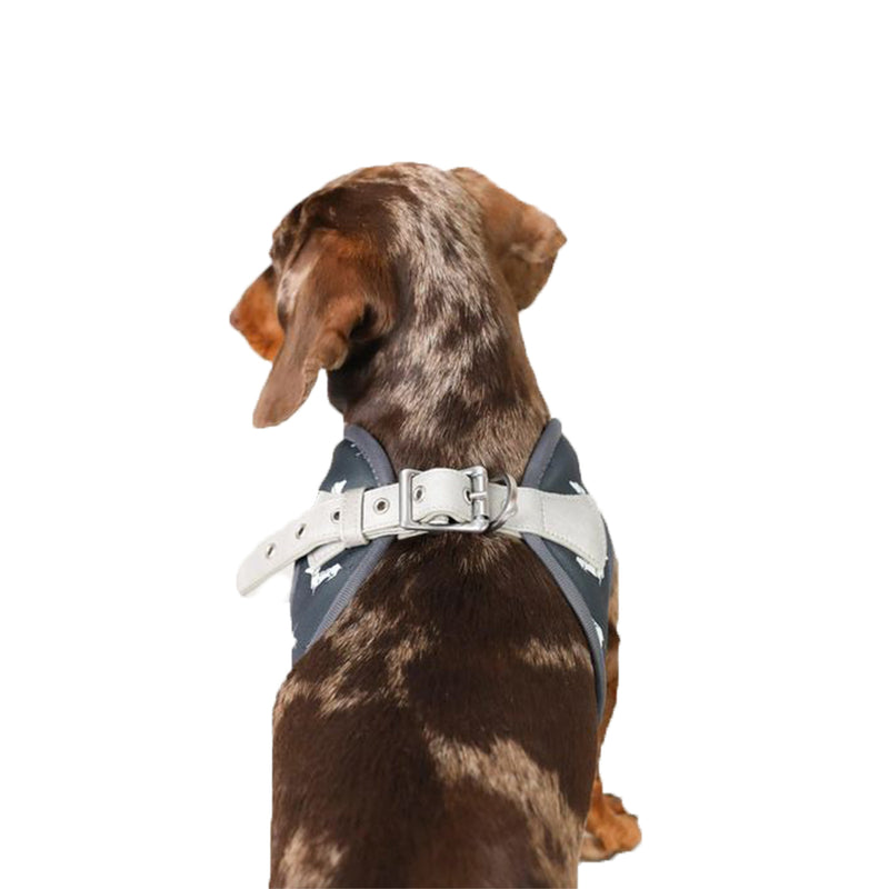 Vegan Leather Step In Dog Harness - The Twiggy (Charcoal)