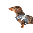 Vegan Leather Step In Dog Harness - The Twiggy (Charcoal)