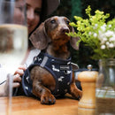 Vegan Leather Step In Dog Harness - The Twiggy (Charcoal)