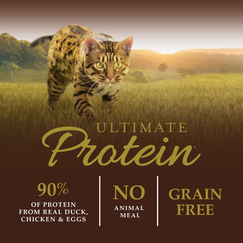 Ultimate Protein Cage-Free Duck Recipe Dry Cat Food