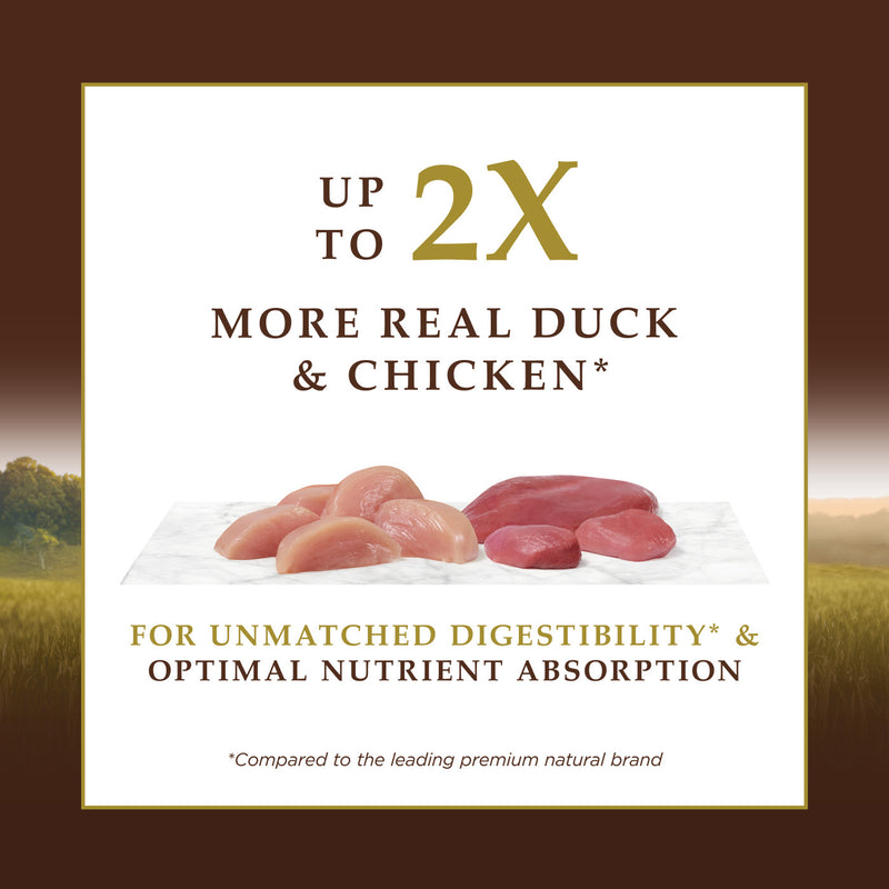 Ultimate Protein Cage-Free Duck Recipe Dry Cat Food