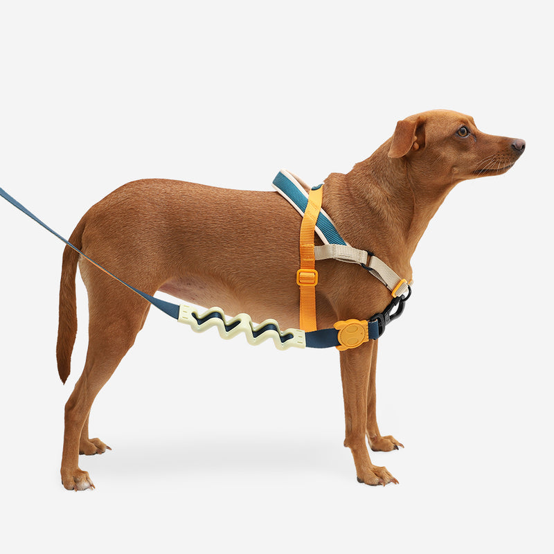 Zee dog soft walk harness new arrivals