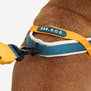 Voyage Softer Walk Harness